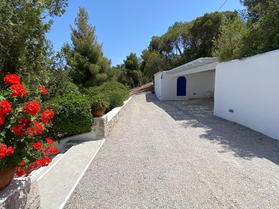 Retreat Villa By The Sea With Pool In Porto Heli Bagian luar foto